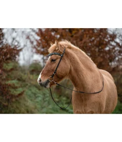 Hot Frontal Veifa Frontaux