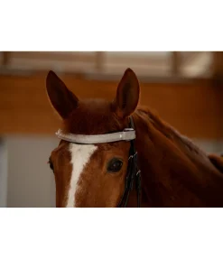 Discount Frontal LED Loom Frontaux