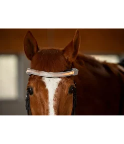 Discount Frontal LED Loom Frontaux