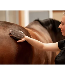 Hot Gant de massage Entretien De La Fourrure Pour Chien