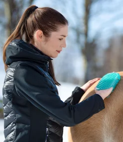 Sale Gant de massage Entretien De La Fourrure Pour Chien
