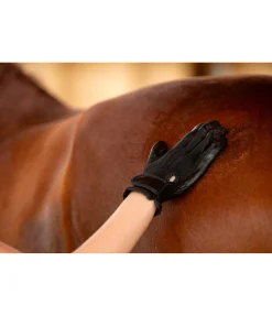 Discount Gants de nettoyage Groomy Matériel De Pansage|Entretien De La Fourrure Pour Chien