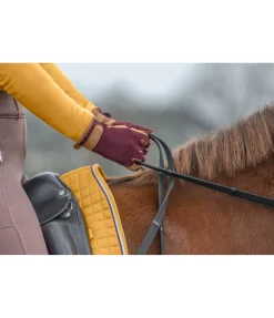 Outlet Gants d'équitation d'hiver Zermatt Gants D'Équitation Pour L'Hiver