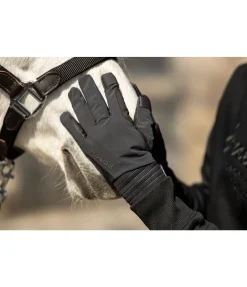 Outlet Gants d'équitation d'hiver Winsford Gants D'Équitation Pour L'Hiver
