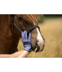 New Gants d'équitation d'été Siena Gants D'Équitation Pour L'Été