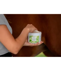 Sale Gel anti-insectes à l'huile de neem Produits Anti-Mouches