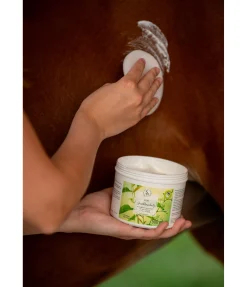 Sale Gel anti-insectes à l'huile de neem Produits Anti-Mouches