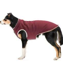 Gilet softshell réversible pour chien Willa, 80 g Manteaux D'Hiver Avec Garnissage, À Partir De 50G