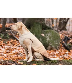 Gilet softshell réversible pour chien Willa, 80 g Manteaux D'Hiver Avec Garnissage, À Partir De 50G
