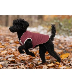 Gilet softshell réversible pour chien Willa, 80 g Manteaux D'Hiver Avec Garnissage, À Partir De 50G