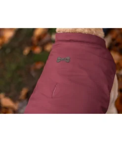 Gilet softshell réversible pour chien Willa, 80 g Manteaux D'Hiver Avec Garnissage, À Partir De 50G
