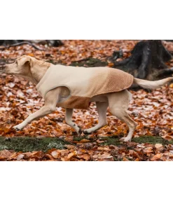 Gilet softshell réversible pour chien Willa, 80 g Manteaux D'Hiver Avec Garnissage, À Partir De 50G