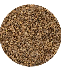 Best Graines de chanvre Aliments Complémentaires