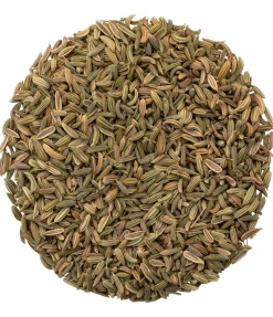 New Graines de fenouil Aliments Complémentaires