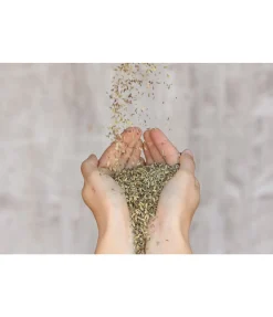 Best Graines digestives Aliments Complémentaires