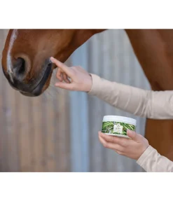 Hot Graisse à traire Produits De Soin