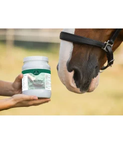 Clearance Granulés de spiruline Aliments Complémentaires