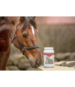 Outlet Granulés pour le système nerveux Calme intérieur Aliments Complémentaires