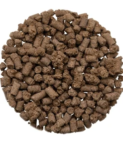 Hot Griffe du diable Aliments Complémentaires