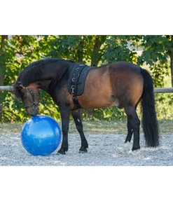 Best Grosse balle de jeu pour cheval Jouets Pour Chevaux