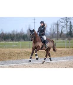 Discount Guêtres de dressage avec polaire Teddy Classic (pour postérieurs) Guêtres