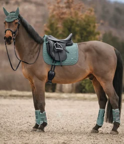 Hot Guêtres en mesh Glitter, antérieurs Guêtres