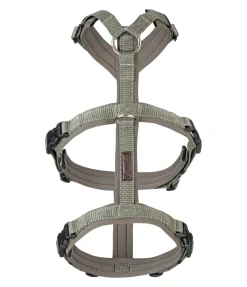 Outlet Harnais de sécurité pour chien Irmi Harnais & Colliers Pour Chien