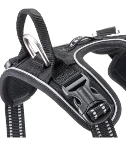 Best Harnais pour chien Expedition Harnais & Colliers Pour Chien