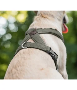 Sale Harnais pour chien Piper Harnais & Colliers Pour Chien