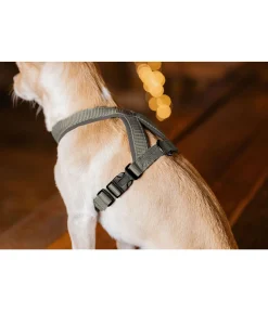 Sale Harnais pour chien Piper Harnais & Colliers Pour Chien