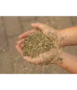 Herbes détox Aliments Complémentaires