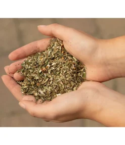 Herbes détox Aliments Complémentaires