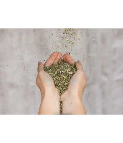 Online Herbes pour bronches Aliments Complémentaires