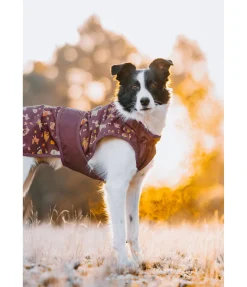 Hot Imperméable pour chien Pumpkin Spice, 0 g Manteaux De Pluie Sans Garnissage, 0G