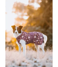 Hot Imperméable pour chien Pumpkin Spice, 0 g Manteaux De Pluie Sans Garnissage, 0G