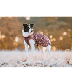 Hot Imperméable pour chien Pumpkin Spice, 0 g Manteaux De Pluie Sans Garnissage, 0G