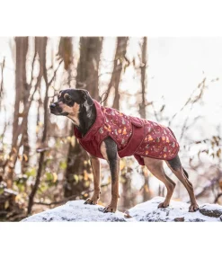 Online Imperméable pour chien Pumpkin Spice, 0 g Manteaux De Pluie Sans Garnissage, 0G