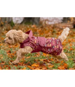 Online Imperméable pour chien Pumpkin Spice, 0 g Manteaux De Pluie Sans Garnissage, 0G