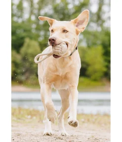 Online Jouet corde pour chien Jack Jouets Pour Chien