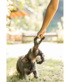 Online Jouet en peluche pour chien Bounce Jouets Pour Chien