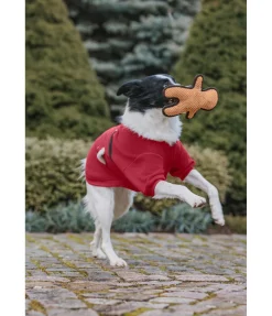 Discount Jouet pour chien Gingerman Jouets Pour Chien