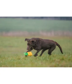 Outlet Jouet pour chien Pineapple Jouets Pour Chien