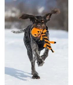 Clearance Jouet pour chien Pumpkin Jouets Pour Chien