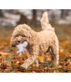 New Jouet pour chien avec couineur Unicorn Jouets Pour Chien