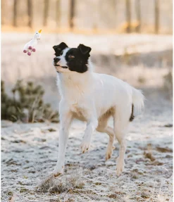 New Jouet pour chien avec couineur Unicorn Jouets Pour Chien