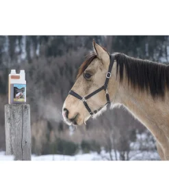 Outlet Jus d'herbes Bronchial Aliments Complémentaires