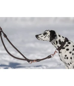 Online Laisse en cuir cousu rond pour chien Certaldo Laisses Pour Chien