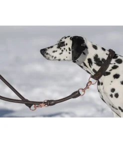 Online Laisse en cuir cousu rond pour chien Certaldo Laisses Pour Chien