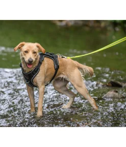 Clearance Laisse longue réfléchissante Laisses Pour Chien|Matériel Réflechissant Pour Chiens