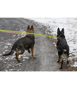 Clearance Laisse longue réfléchissante Laisses Pour Chien|Matériel Réflechissant Pour Chiens